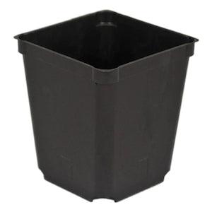 3.5" Square Black Injection Pot - Reefer Madness