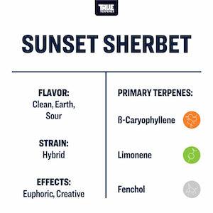True Terpenes Sunset Sherbet Profile - Reefer Madness