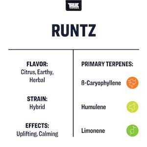 True Terpenes Runtz Precision 4oz - Reefer Madness