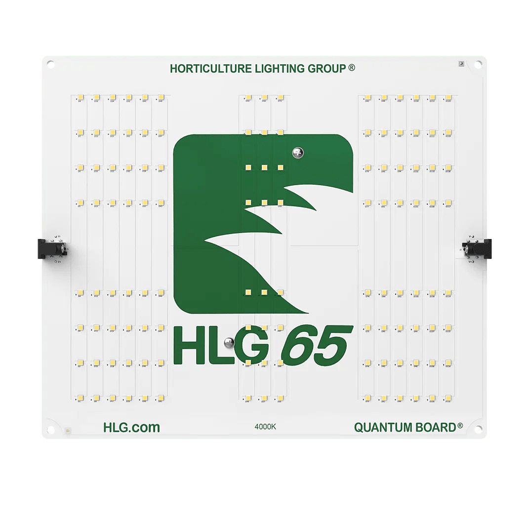 HLG 65 V2 - Reefer Madness