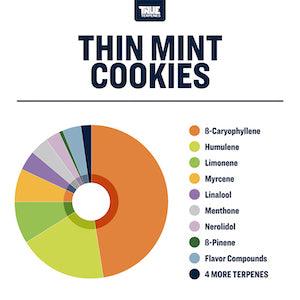 True Terpenes Thin Mint Cookies Profile - Reefer Madness