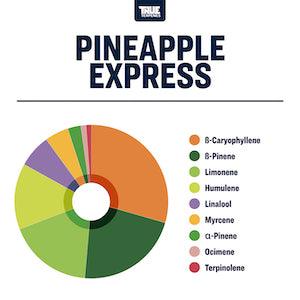 True Terpenes Pineapple Express Profile - Reefer Madness