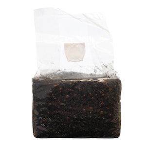 SuperSpore All-In-One Mushroom Substrate Grow Bag 6 - 7lbs - Reefer Madness