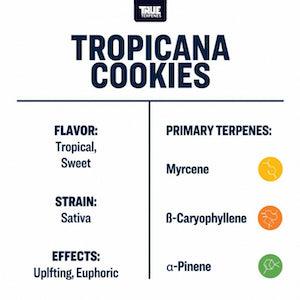 True Terpenes Tropicana Cookies Profile Infused - Reefer Madness