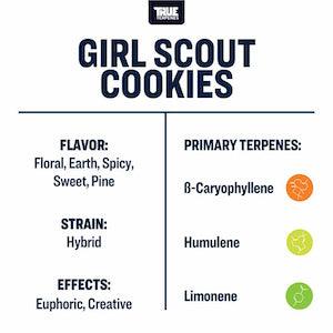 True Terpenes Girl Scout Cookies Profile - Reefer Madness