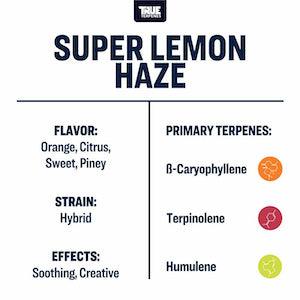 True Terpenes Super Lemon Haze Profile