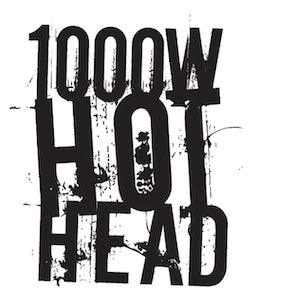 HOT HEAD 1000W 120/240V HPS ONLY Magnetic Ballast - Reefer Madness