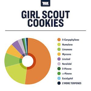 True Terpenes Girl Scout Cookies Profile - Reefer Madness