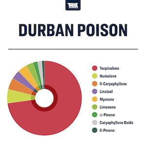 True Terpenes Durban Poison Profile - Reefer Madness