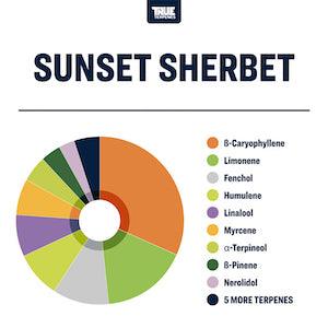 True Terpenes Sunset Sherbet Profile - Reefer Madness